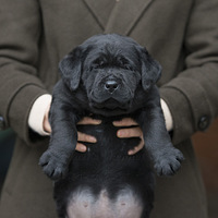 �պͺ�����ֿ���С���������ڻ�ζ���һ����