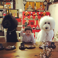 ��ֻ�����ͱ������ճ���,ÿ��Ļ��綼�ޱ�ů��