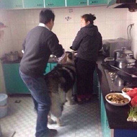 �Ҿ����ţ��Ҳ��ԣ��Ҵ������ӿ����ţ��չ�����ܹ��ˣ�