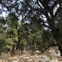 ���������ɽ����������������������첻��û��Ӫ������