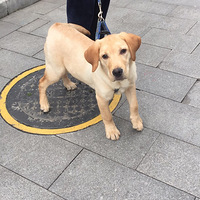 ������������ס��һ����ʿ��