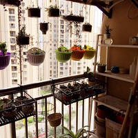 �ҵ���̨��������ռ����