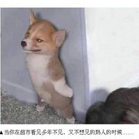 ��Ц�����������������Ϸ���������ļ�����������