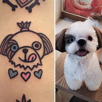 һЩ���Լ������������ϵ������ǣ�������������