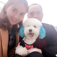 ��С���Ҳ���������һ�����