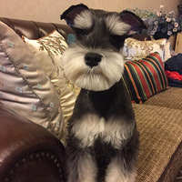 ɹɹ�����͵����ѩ