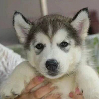 ���ʹ�����ô���ȽϺóԣ����ߵȣ�ͦ���ģ���