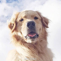 ���û��ɣ���һ�����������ֻ����ĵ���