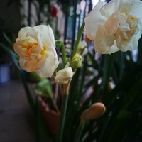 �������ˣ��������Ҫ��ˮ��