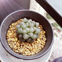 �����ģ������ҵ�������