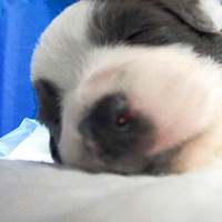 �а�����