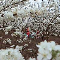 ʮ���+�������ˣ�¶���