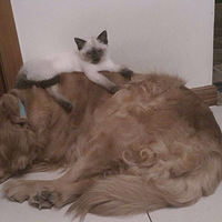 ������������������~~