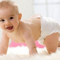 �����������������ԵĲ���ʳ��