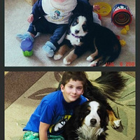 �ҵĹ�������һֻ���Ҳ���ҵļ��ˣ� ????