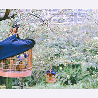 �󱦶���һ����Ÿ��ܴ������Ϣ+�������ˣ�¶���