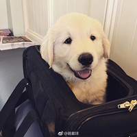 �����˳���Ϊ���ù���������������Ƿ�չ������������