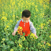 �����а��������Ǵ�ů�����������ˣ�¶���