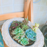 ������·����˾��������������ж��⡿