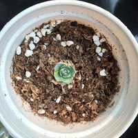 ������ô��־���ӳ�������һ�ŵ�ͷ����һ�迪����ȫ����