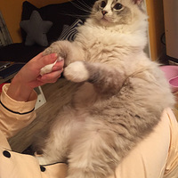 èè�´�����ô�죿