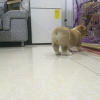 ��Ӵ�����豻�������ˣ�������������ô���