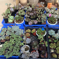 ���ڷ��磬�������д�̽��һ��~