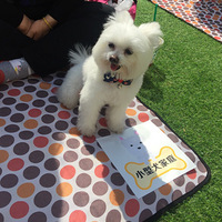 �ȳ�����������