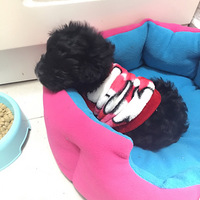 ������³�Ա������ʱ���£�