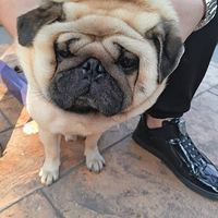 ���Ǽҵİٱ乷����ʨ��?����?��ʵ����ç��