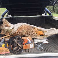 һ�����ͷ�ɧ��ľ������ɱ�ɶ���ƴ���