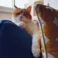 ������ĩ��������ô�ĸ߹�;��� ????