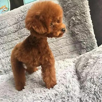 ȥ����꣬һǧԪ������ֻ�������ȡ���̩�ϣ����ǵ��Ҹ��Ϳ�ʼ��