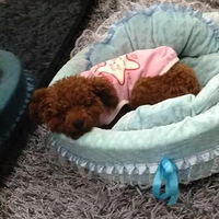 ̩�϶���һ�����ں��һ��������̷��������������ˣ�ϣ���а���