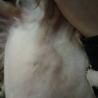 �Ҽҹ����ⳤ��ʲô   ��֪������