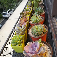 �����Ĵ���