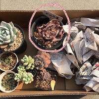 һ�Ż��˵���־�ɱ䣬������־�İ������Ƿ�ᰮ�����أ�