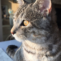 ������������¹�è�������ע������