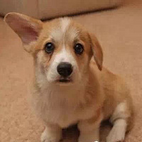 һֻ����ʹ����ڹ��ů�Ŀ»�Ϊ��������˰�%u00a