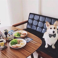 ��һֻ�»������ųԷ�����������һ�����飿