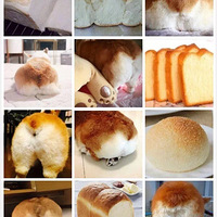 ��Ҳû���úó�����ˡ��������ͼ���ҳ��»�����%u00a