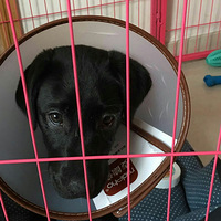 �����鿵����ҽԺ�ڵ�