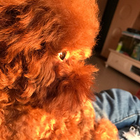 �����ˣ���������һ���Ҽ�С���ӵ�����ʱ�⡫