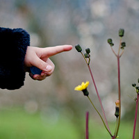 ���������죬�����ļ�+�������ˣ�¶���