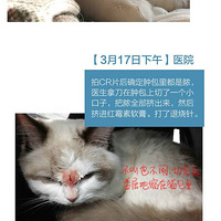 ϲ�����˻����ˣ��㻹��ϲ������