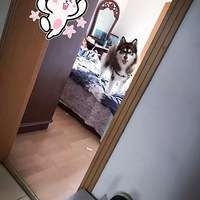 ��ǰ�Ĺ��� �񾭲�ѽ