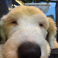 �����Ĺ�������Ѱ���׵�����������