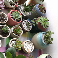 һ��������ƺ����Ӵ�Ǯ����·��