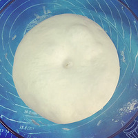 ����������ζ������