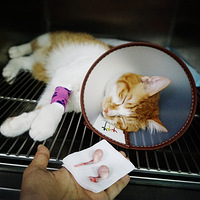 è���������ȫ���̣����������С���������������